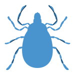 blue tic icon