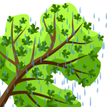 Home Protection Plan Spring