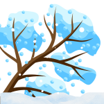 Home Protection Plan winter